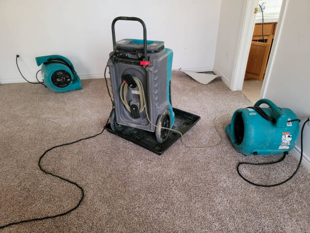 Best Basement water damage restoration  in Rogers, TX