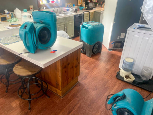 Best Water damage restoration near me  in Rogers, TX