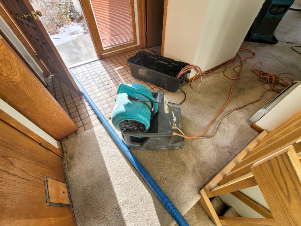 Best Water damage cleanup near me  in Rogers, TX