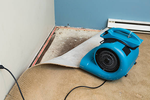 Best Water damage restoration insurance claims  in Rogers, TX